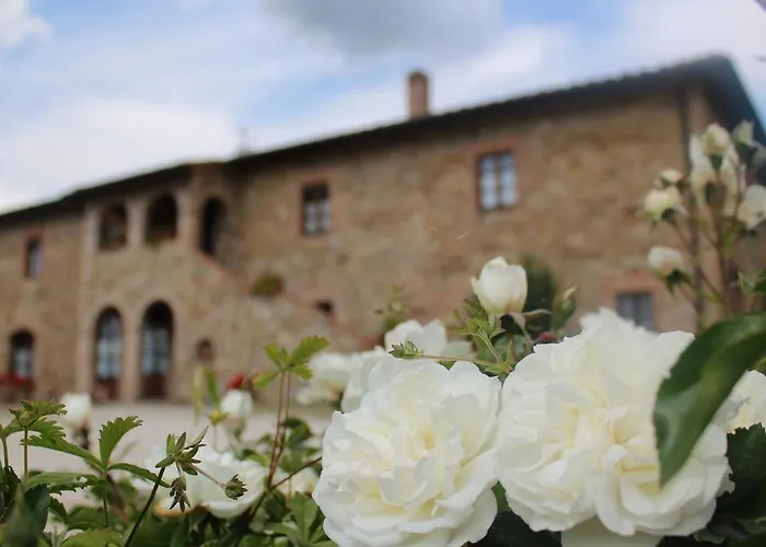 Le Bolli * Radicondoli