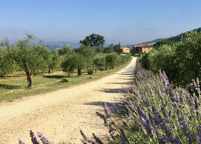 Le Bolli Radicondoli